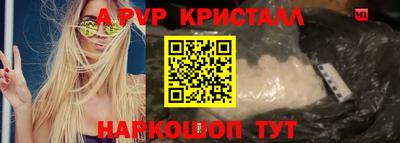 гашик Моздок