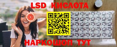 гашик Моздок