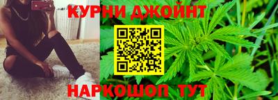 гашик Моздок