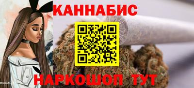 гашик Моздок