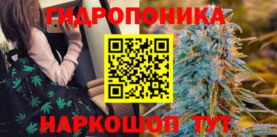 гашик Моздок