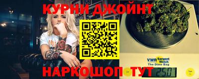 гашик Моздок