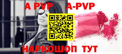 гашик Моздок