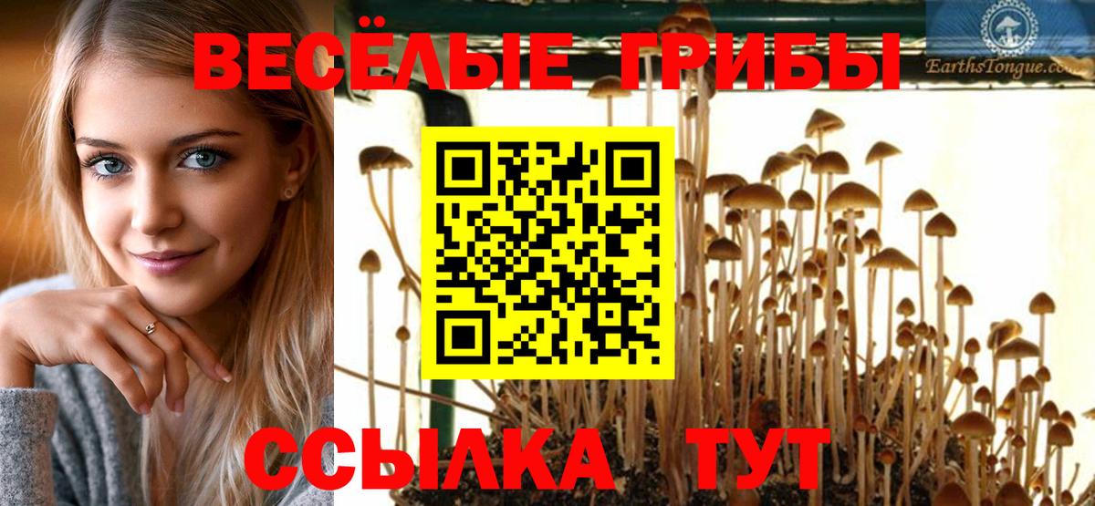 Галлюциногенные грибы Psilocybine cubensis Донецк
